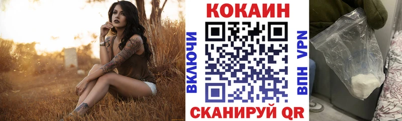дарнет шоп кракен рабочий сайт COCAIN Fish Scale shop какой сайт Зуевка