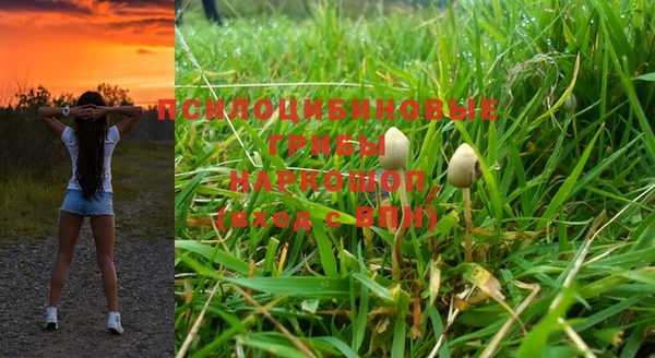 гидропоника Балабаново