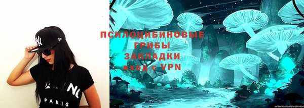 ПСИЛОЦИБИНОВЫЕ ГРИБЫ Баксан