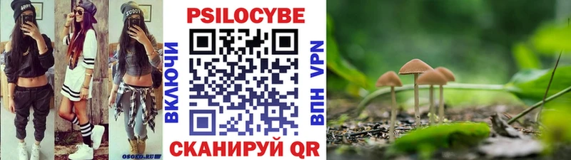 хочу наркоту  Зуевка  Галлюциногенные грибы Magic Shrooms 